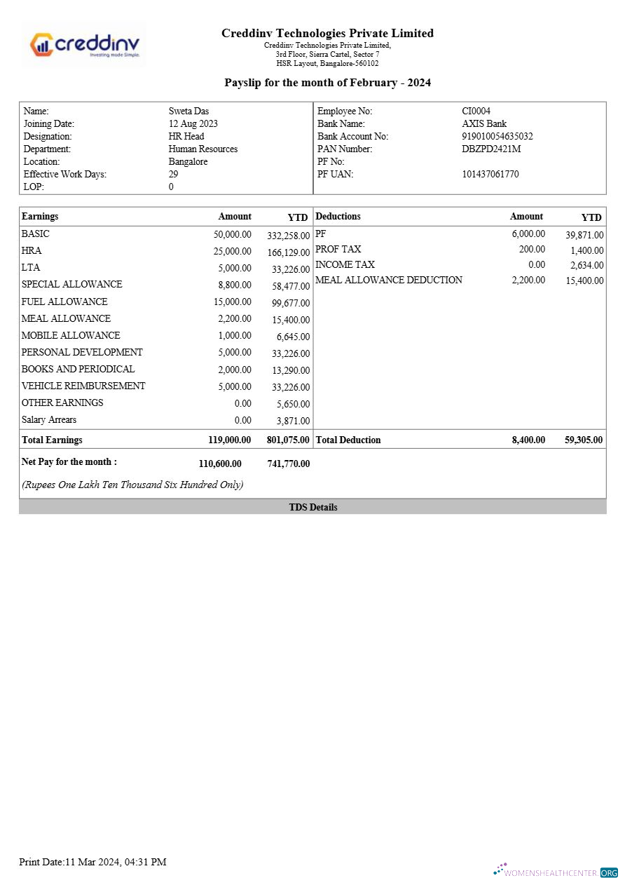 Download Creddinv Technologies payslip template in Word and PDF formats.pdf, 1 Photoshop template